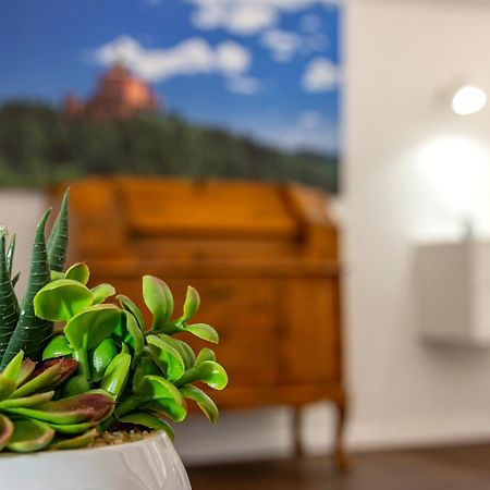 Righi Suite Apartment Bologna Eksteriør bilde